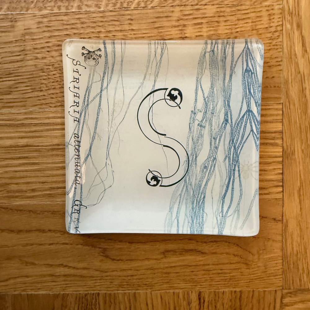 Anthropologie Fringe Studio Botanical Glass Tray Skull Initials Catch-All Dish